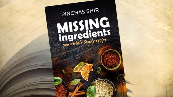 "Missing Ingredients" by Pinchas Shir